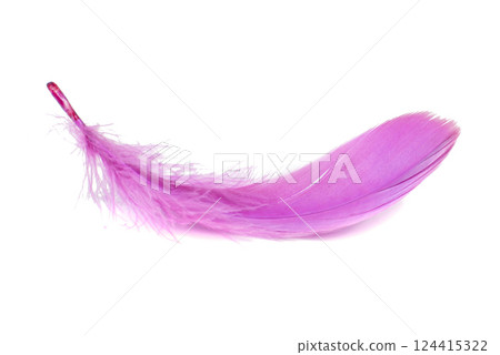 Light fluffy pink feather isolated on white background. 124415322