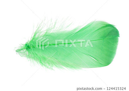 Light fluffy green feather isolated on white background. 124415324