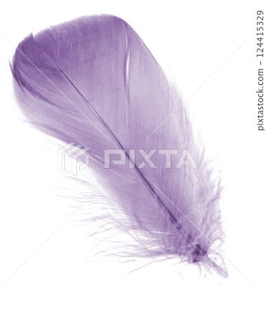 Light fluffy violet feather isolated on white background. 124415329