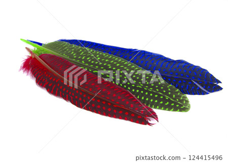 Colorful collection feathers isolated on white background 124415496