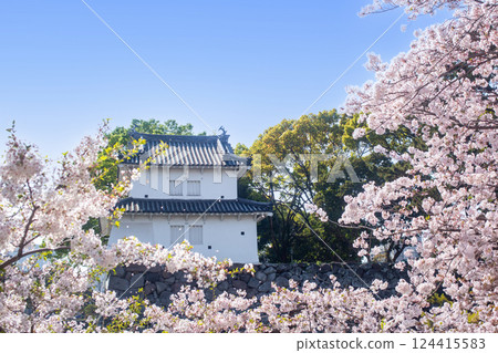 Oita Prefectural Castle Ruins and Cherry Blossoms 124415583