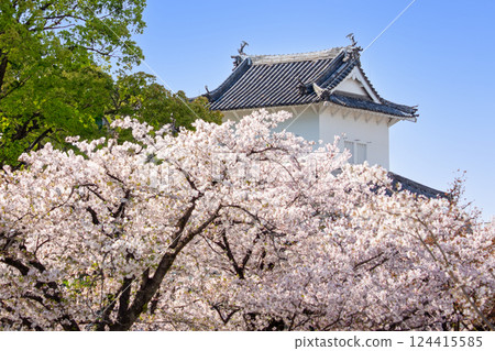 大分縣城遺址和櫻花 大分縣城遺址和櫻花 124415585