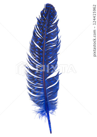 Elegant fluffy feather isolated on the white background Elegant fluffy feather isolated on the white background 124415962