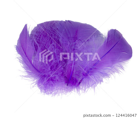 Elegant violet fluffy feather isolated on the white background 124416047