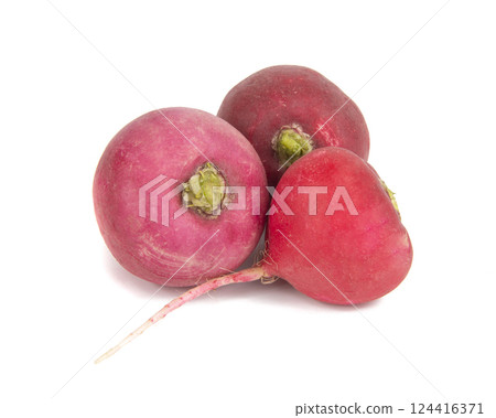 Pink radish vegetable isolated on the white background 124416371
