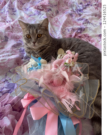 A charming gray cat lounges on a floral blanket, surrounded by colorful plush toys. The playful scene captures the essence of cozy pet moments and vibrant decor trends. 124416525