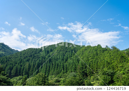 美麗的夏日青山和藍天[夏季圖像/背景資料] 124416719