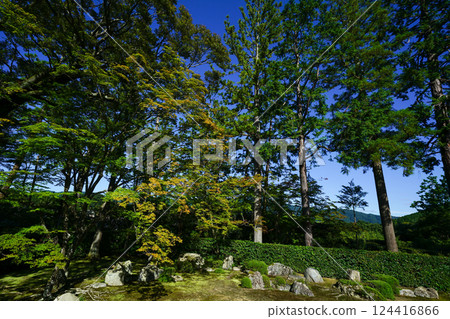 Garden of the Iwakura Hatae temple in Kyoto Garden of the Iwakura Hatae temple in Kyoto 124416866