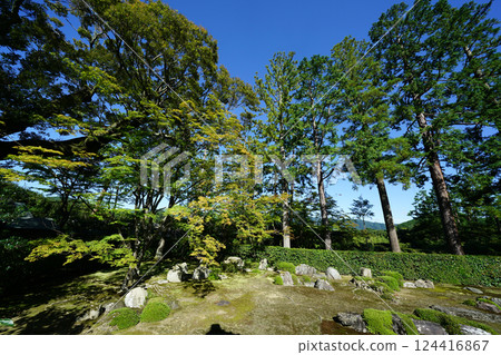 Garden of the Iwakura Hatae temple in Kyoto Garden of the Iwakura Hatae temple in Kyoto 124416867