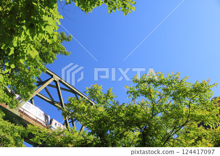 The San'in Line runs under a truss bridge surrounded by fresh greenery and reflecting the morning sun. The San'in Line runs under a truss bridge surrounded by fresh greenery and reflecting the morning sun. 124417097