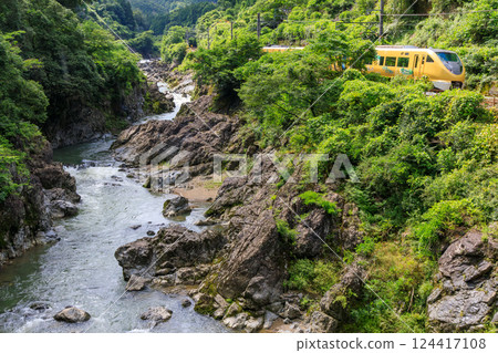 黃色的福知山線特快列車穿越川代山谷。 黃色的福知山線特快列車穿越川代山谷。 124417108