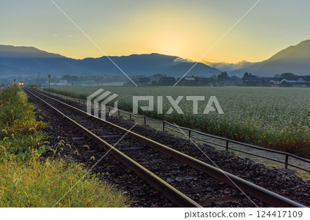 The moment when the morning sun shines from Mount Arashiyama on the buckwheat fields of Echizen Tano and the Echizen-Michi-Hoku Line The moment when the morning sun shines from Mount Arashiyama on the buckwheat fields of Echizen Tano and the Echizen-Michi-Hoku Line 124417109