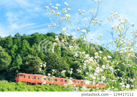 A diesel train on the Bantan Line running along the mountain in the morning sun A diesel train on the Bantan Line running along the mountain in the morning sun 124417112