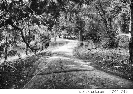 Serene park pathway surrounded by verdant nature 124417491