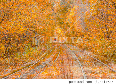 Autumn forest through which the tram travels, Kyiv and rails 124417687