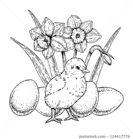 Hand drawn chick standing among Easter eggs and blooming daffodils. Spring black and white botanical illustration for cards, celebration designs, packaging, and seasonal holiday decor. 124417776