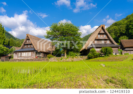 [World Heritage] Gokayama and Suganuma Gassho-style Village in early summer [Toyama Prefecture] 124419310