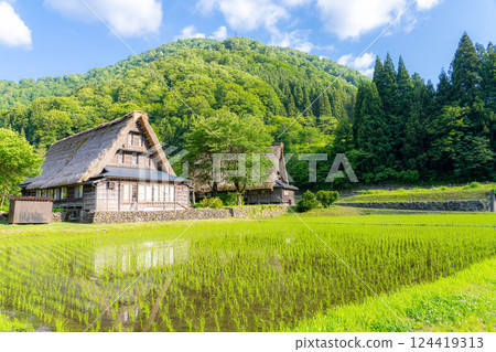 [World Heritage] Gokayama and Suganuma Gassho-style Village in early summer [Toyama Prefecture] 124419313
