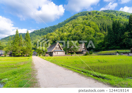 [World Heritage] Gokayama and Suganuma Gassho-style Village in early summer [Toyama Prefecture] 124419314