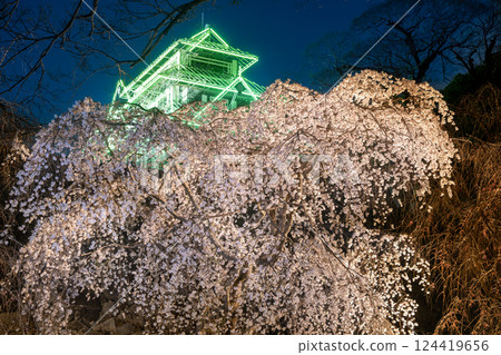 福岡城櫻花節 福岡城櫻花節 124419656