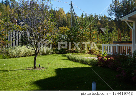 It is a truly beautiful sunny day in a lush, vibrant garden filled with green grass and tall trees It is a truly beautiful sunny day in a lush, vibrant garden filled with green grass and tall trees 124419748
