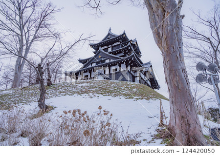 Niigata: Takada Castle in the early morning Niigata: Takada Castle in the early morning 124420050