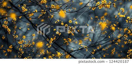 Vibrant yellow flowers on tree branches with soft blurred background Vibrant yellow flowers on tree branches with soft blurred background 124420187