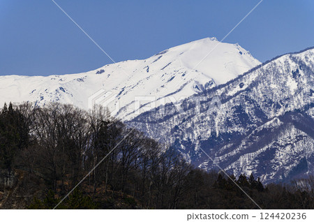 A spectacular view of Mt. Tanigawa from the foot of the mountain in Minakami Town (snowy mountain) 124420236