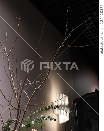 Elegant Branches adorned with Fresh New Leaves, beautifully accentuated by Modern Interior Lighting 124420373