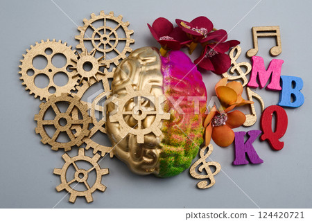Left and right human brain. The right creative hemisphere and the left logical hemisphere. Left and right human brain. The right creative hemisphere and the left logical hemisphere. 124420721