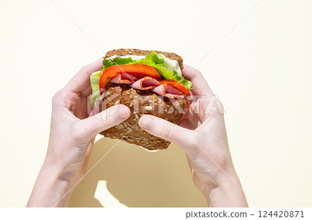 Hands holding fresh sandwich with ham, lettuce, and tomato on a plate. Hands holding fresh sandwich with ham, lettuce, and tomato on a plate. 124420871