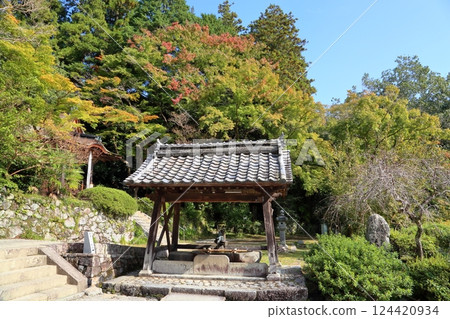 寺院內的Chozuya（淨化噴泉）和色彩繽紛的樹木 124420934