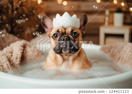 法國鬥牛犬享受奢華的泡泡浴 124421123