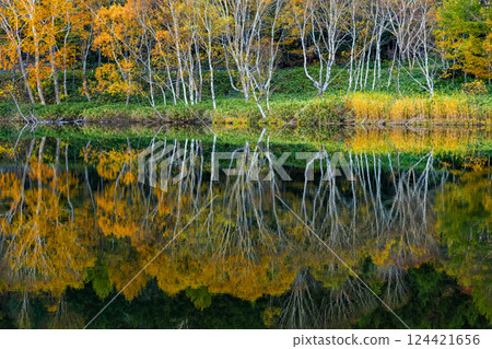 Autumn colors at Lake Biwa in Shiga Kogen Autumn colors at Lake Biwa in Shiga Kogen 124421656