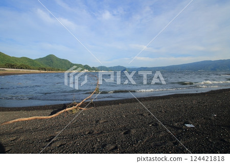 漂流木在沙灘上推出 124421818