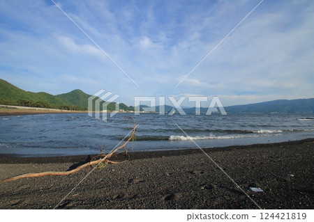 Driftwood launched on the beach 124421819