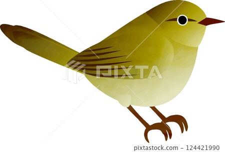 日本灌木鶯鳥，日本灌木鶯，水彩畫，裝飾，春天，可愛，插圖素材 124421990