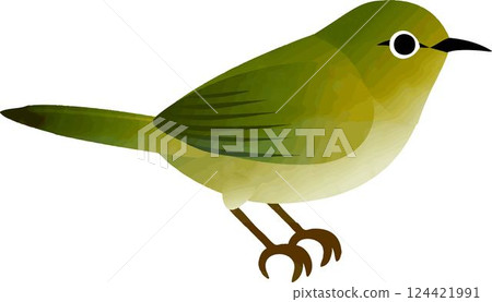 Japanese white-eye, watercolor, decoration, ornament, warbler, bird, spring, cute, illustration material Japanese white-eye, watercolor, decoration, ornament, warbler, bird, spring, cute, illustration material 124421991