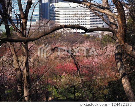 Plaza of Osaka Castle Park 124422123