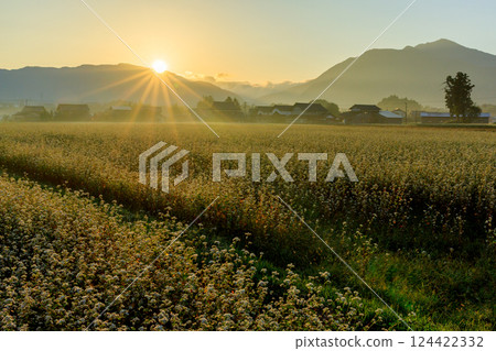 The rows of houses and buckwheat fields of Echizen Tano on the Echizen-Michi-Hoku Line greet the morning sun rising from Mt. Arashiyama 124422332