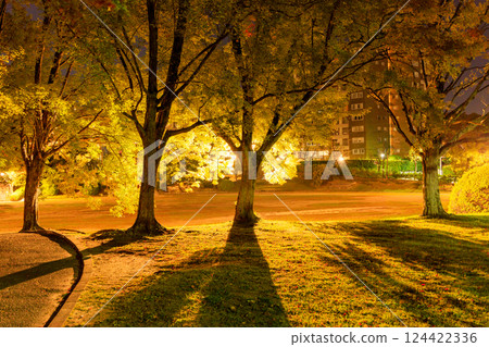 路燈閃耀的深夜公園 路燈閃耀的深夜公園 124422336