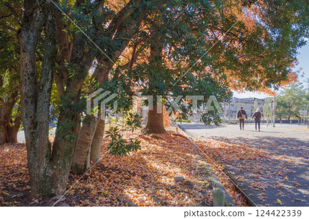 A sidewalk illuminated by the soft light of the New Year 124422339