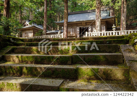 陽光照射在若狹神社長滿青苔的石階上，十分美麗。 124422342