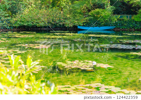 藍色小船漂浮在睡蓮池上 藍色小船漂浮在睡蓮池上 124422359