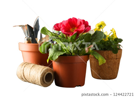 Gardening, Colorful flowers are placed in terracotta pots alongside gardening tools and twine, isolated on white, PNG Gardening, Colorful flowers are placed in terracotta pots alongside gardening tools and twine, isolated on white, PNG 124422721