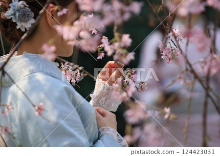 Cherry blossoms in full bloom and a woman in traditional Japanese clothing Cherry blossoms in full bloom and a woman in traditional Japanese clothing 124423031