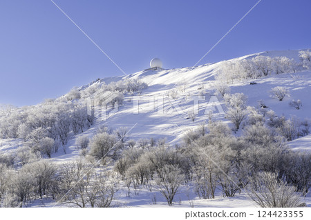 The frost-covered trees and Mt. Kurumayama sparkling in the morning sun from the springtime of Kirigamine Highlands 124423355