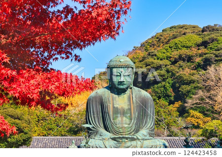 秋葉和大佛 124423458