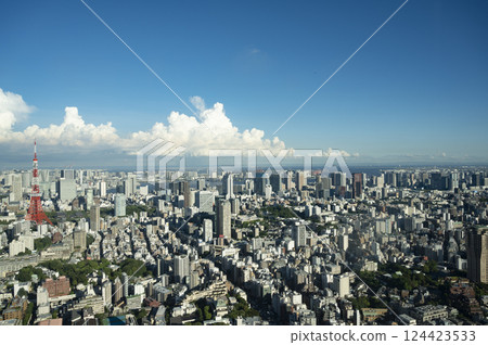 Cityscape view from Roppongi Hills Mori Tower Cityscape view from Roppongi Hills Mori Tower 124423533