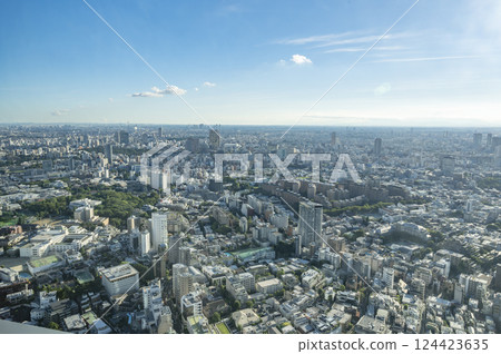 Cityscape view from Roppongi Hills Mori Tower Cityscape view from Roppongi Hills Mori Tower 124423635